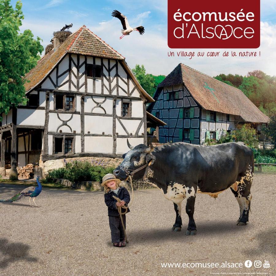 Le Panorama Du Murat Mulhouse Riedisheim 68 Haut-Rhin Alsace Saint-Louis Ngoại thất bức ảnh